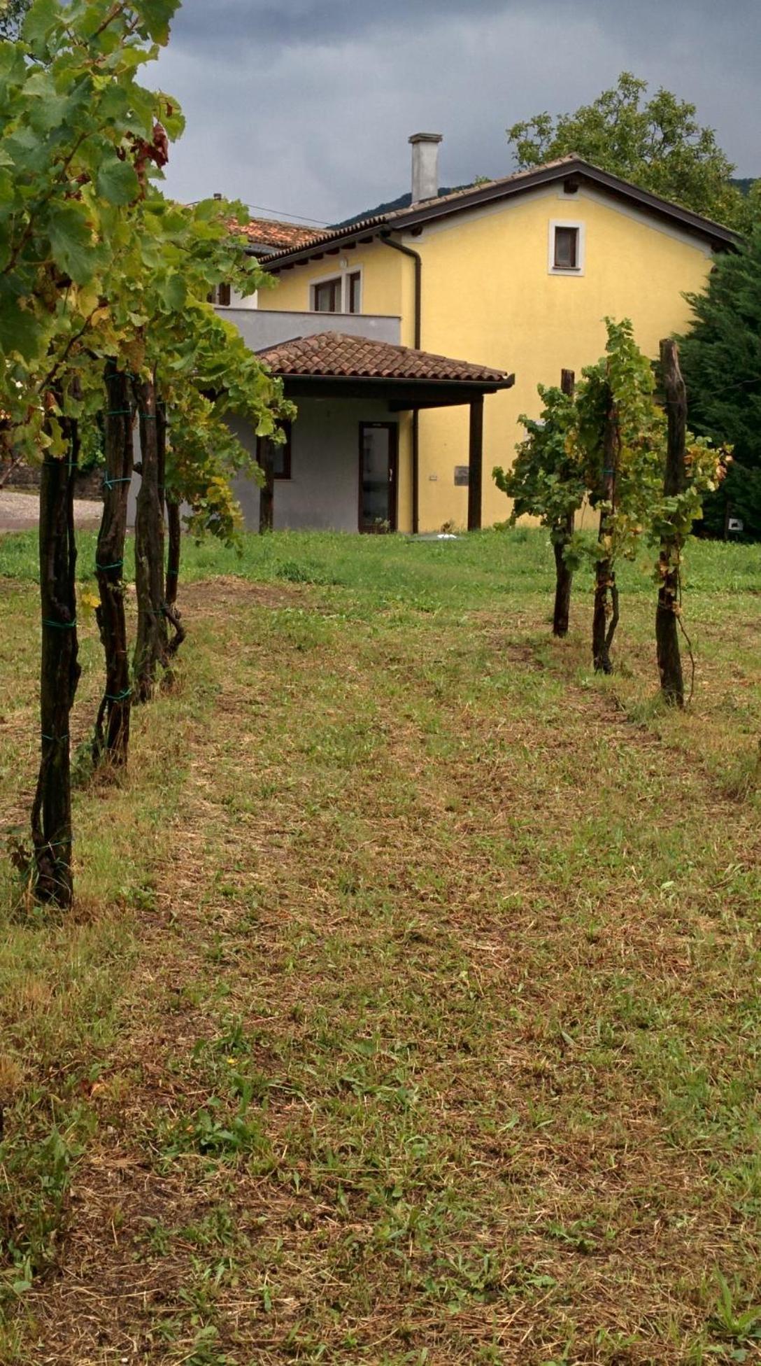 Small House In Vipava Valley 外观 照片