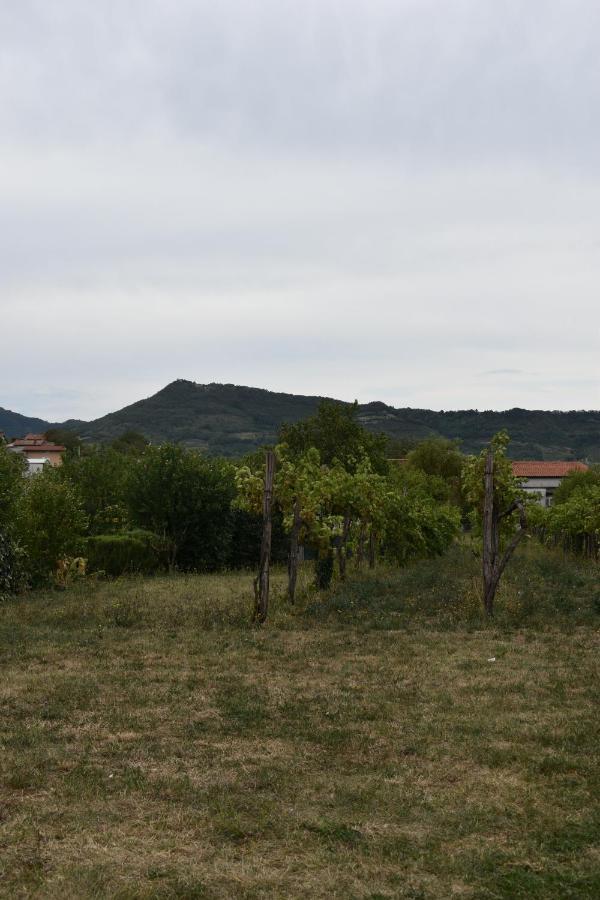 Small House In Vipava Valley 外观 照片