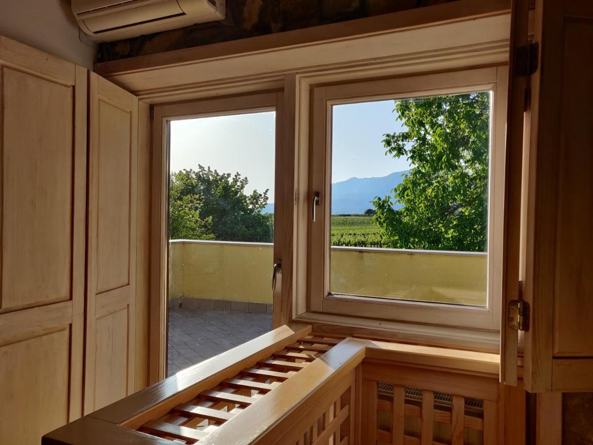 Small House In Vipava Valley 外观 照片